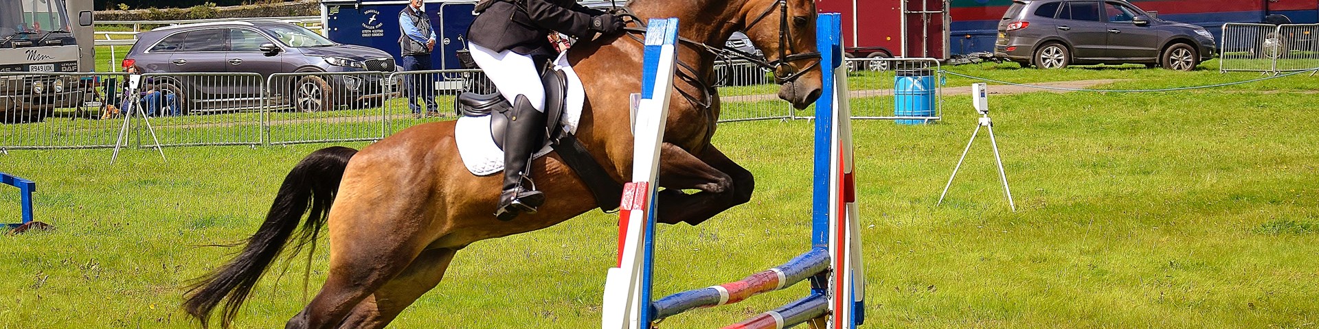 a horse and lady jumping a fence